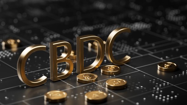 特朗普叫停央行数字货币（CBDC）的影响及建议 国际