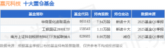 5月27日嘉元科技涨521%华商