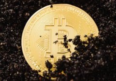 Bitcoin Treasury Capital CEO：将继续比特币财务战略