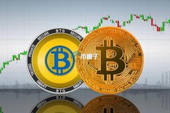 从郁金香泡沫到比特币狂潮：历史的投机镜像