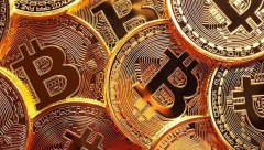 每日数字货币动态汇总（2025-11-14）